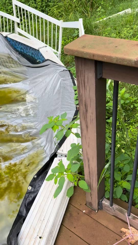 Splash Burgh pool transformation — tap to watch