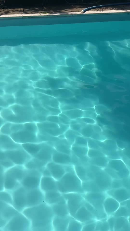 Splash Burgh pool transformation — tap to watch